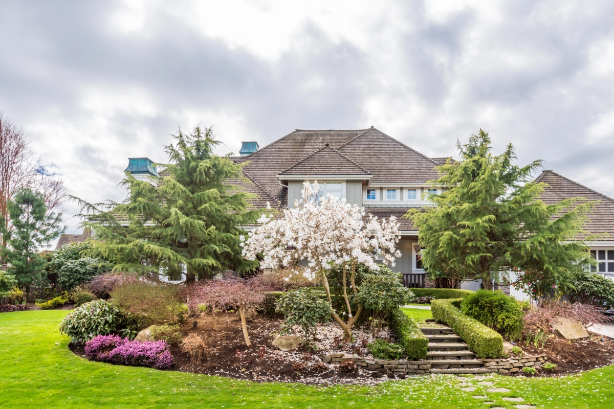 Professional garden landscaping with manicured lawn and decorative planting
