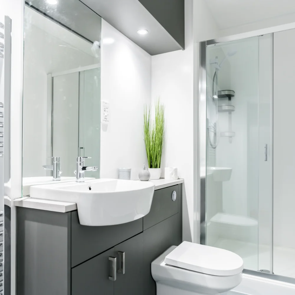 Modern white and grey bathroom with vanity unit, toilet, glass shower enclosure, mirror, and green plant